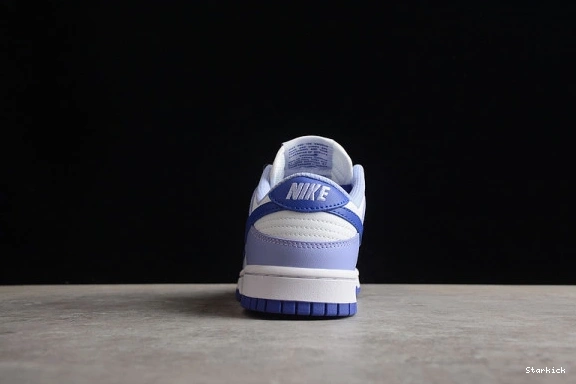 Blueberry Nike Dunk DZ4456-100 (GS) Low 0122